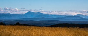 5100_Palle Nielsen_Field_Forest_Mountains